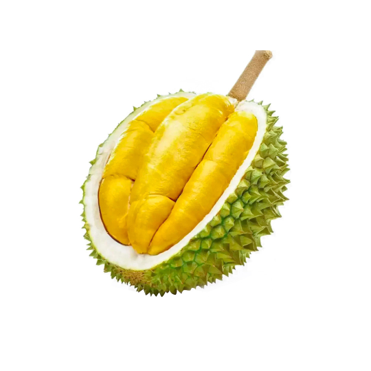Sầu riêng Ri6 (Hữu cơ - VIETGAP)